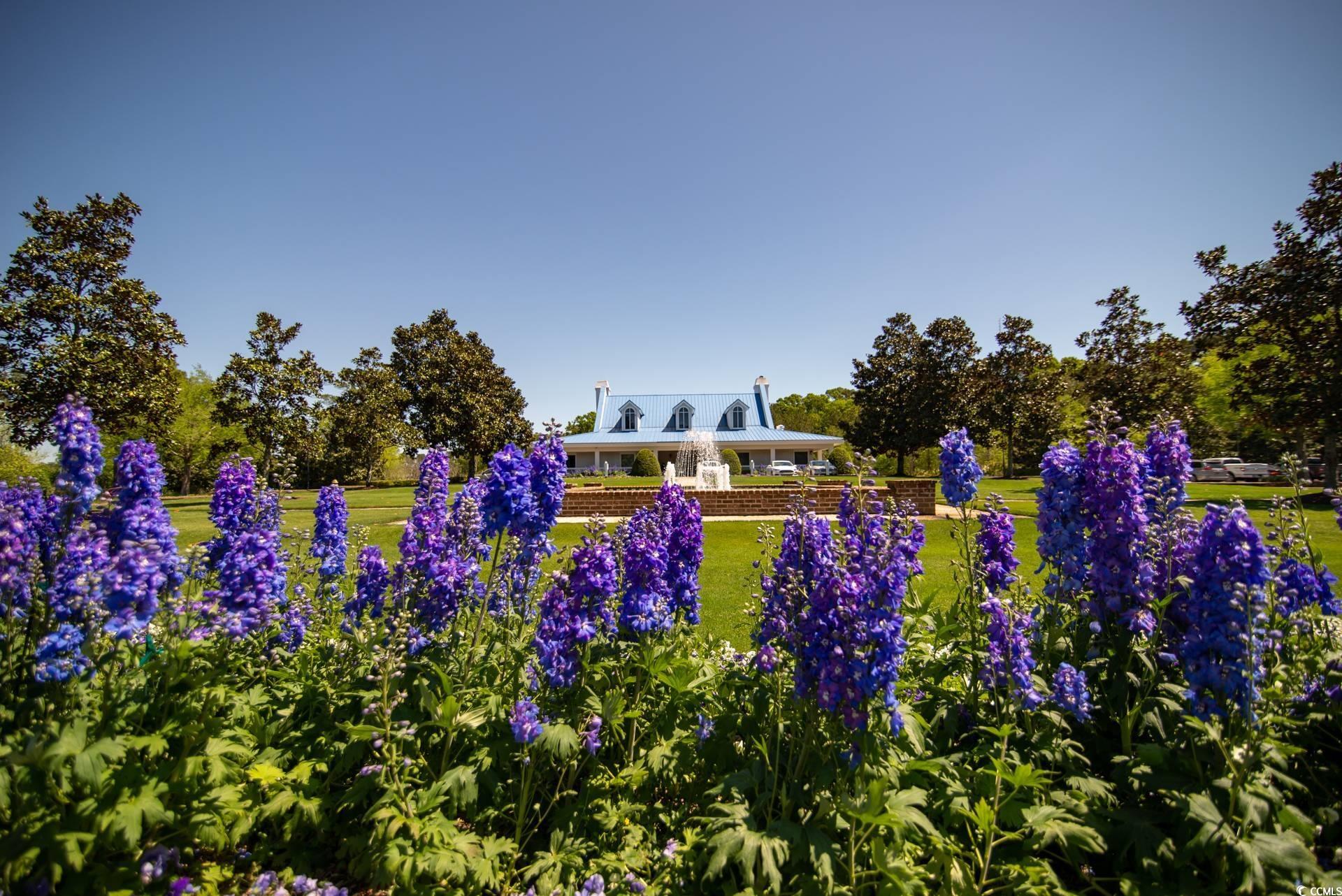 562 Blue Stem Drive, Unit 54D Pawleys Island, SC 29585 - Photo 16 of 20