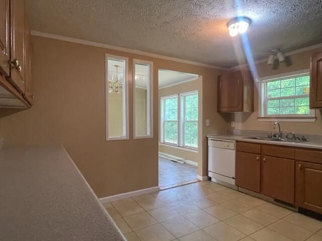 511 Thurgood Road Goose Creek, SC 29445 - Photo 8 of 17 IMG_8969