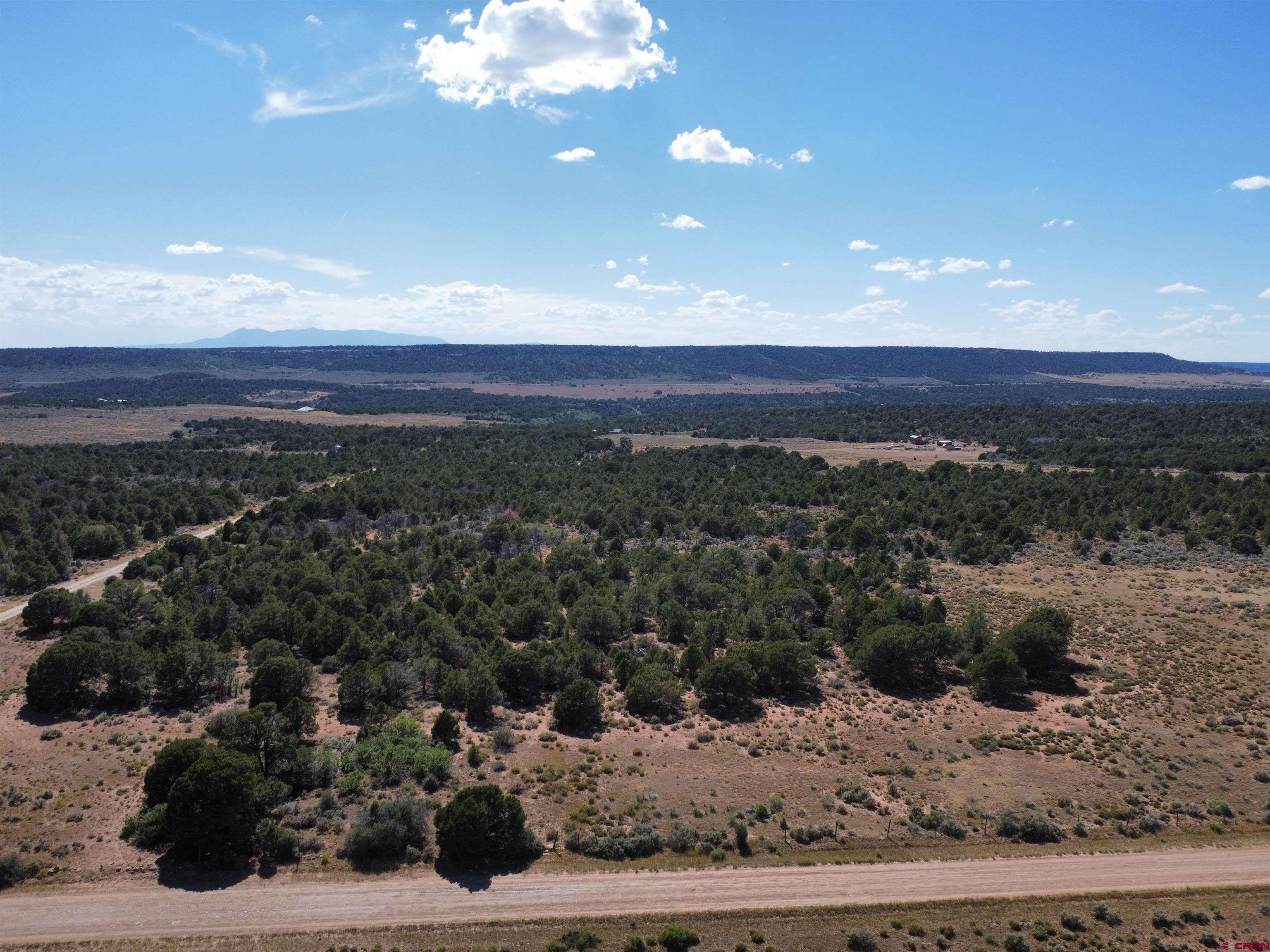 10 9k Road Egnar, CO 81325 - Photo 12 of 32 Gallery Image 12