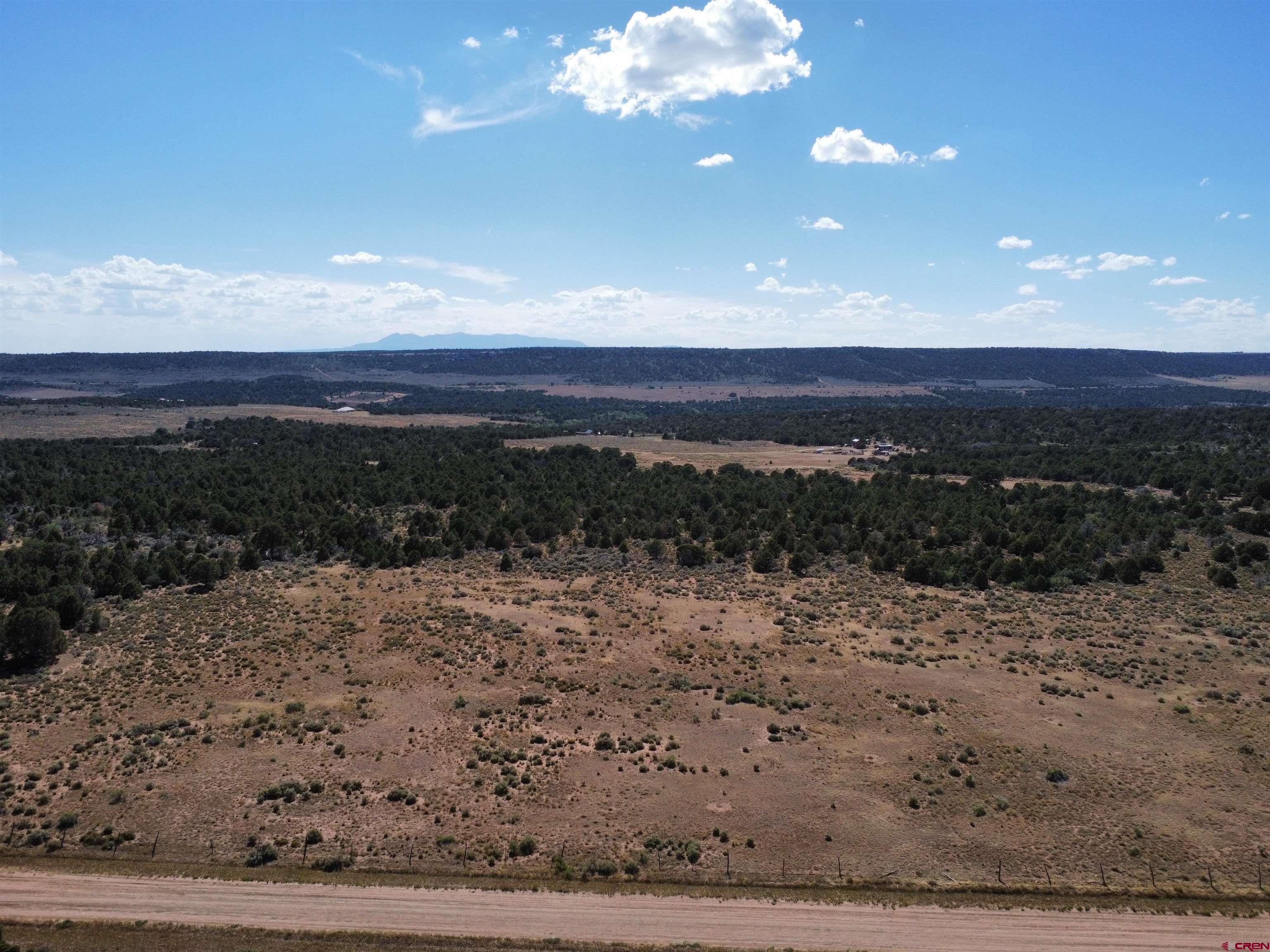 10 9k Road Egnar, CO 81325 - Photo 14 of 32 Gallery Image 14