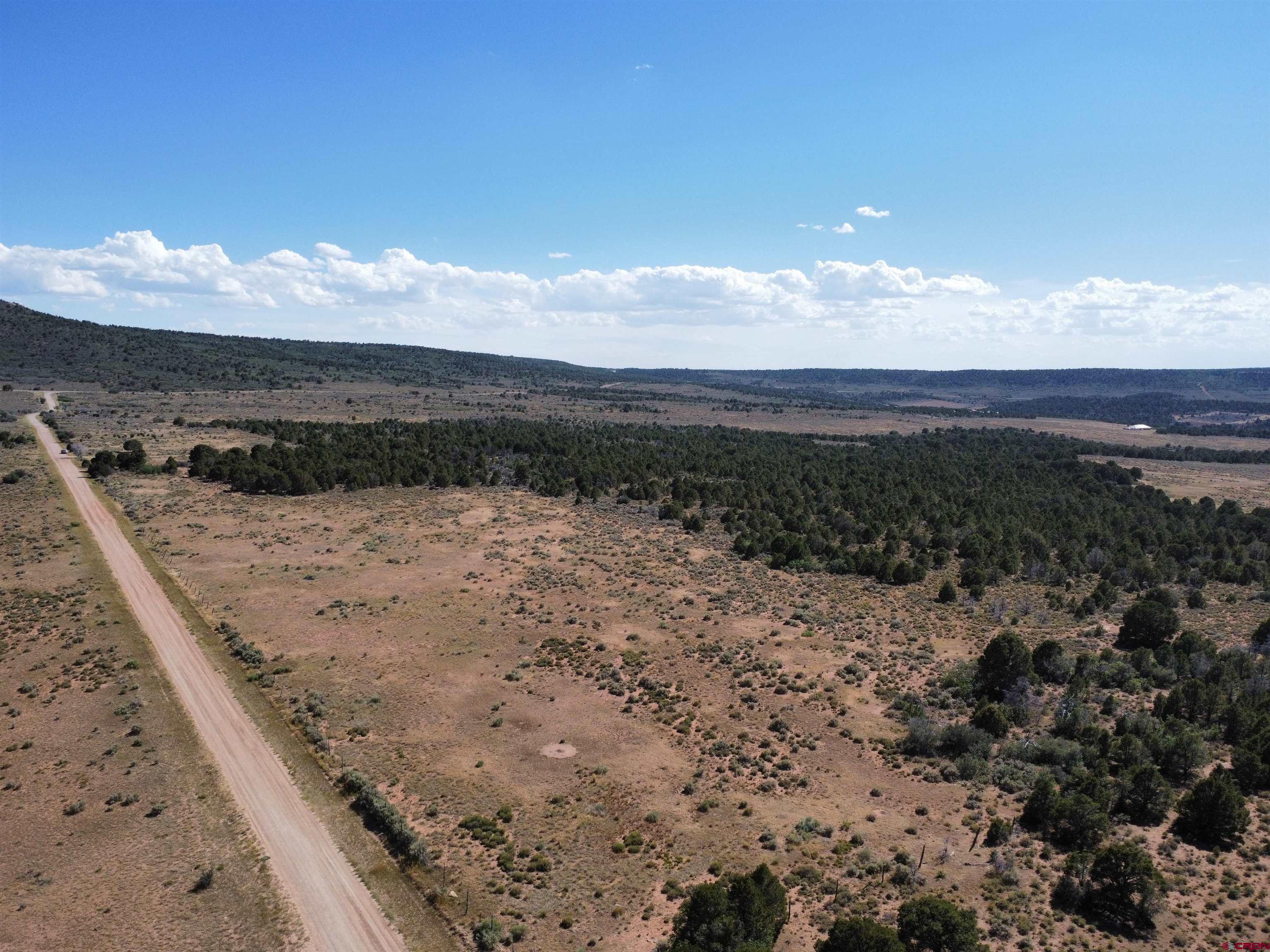 10 9k Road Egnar, CO 81325 - Photo 17 of 32 Gallery Image 17