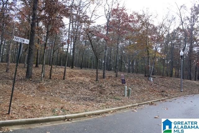 Peyton Place, Unit 3 Weaver, AL 36277 - Photo 37 of 40