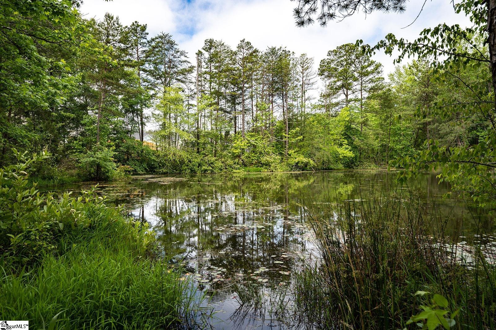 382 Nettle Lane Greenville, SC 29607 - Photo 15 of 17