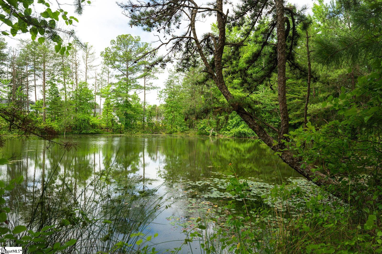 382 Nettle Lane Greenville, SC 29607 - Photo 17 of 17