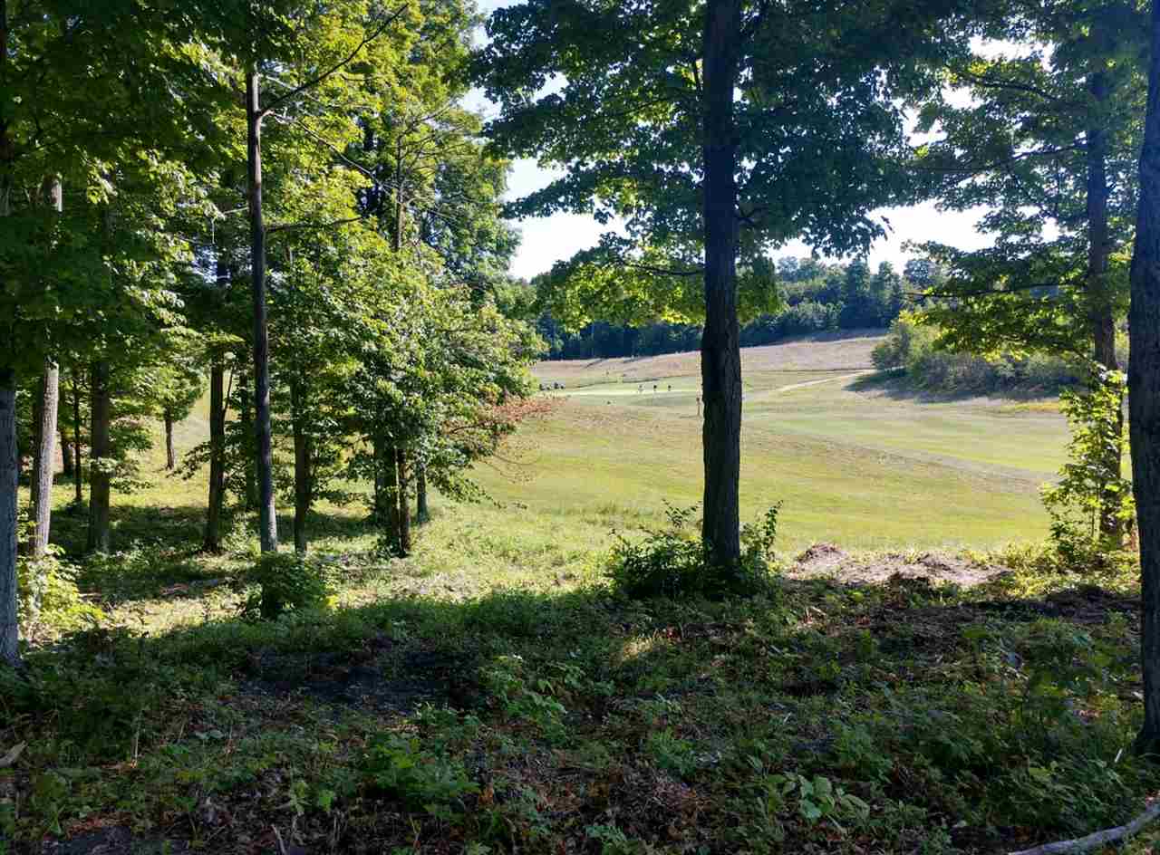 17 Heather Ridge Trail Beulah, MI 49617 - Photo 13 of 15