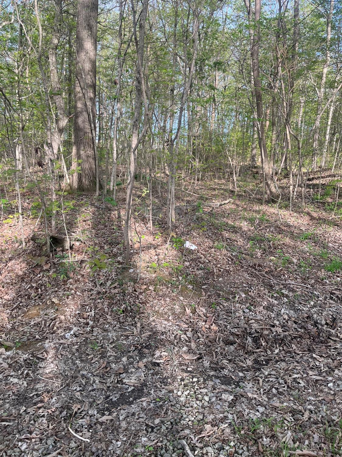 471 Rickey Road Winchester, OH 45697 - Photo 14 of 20