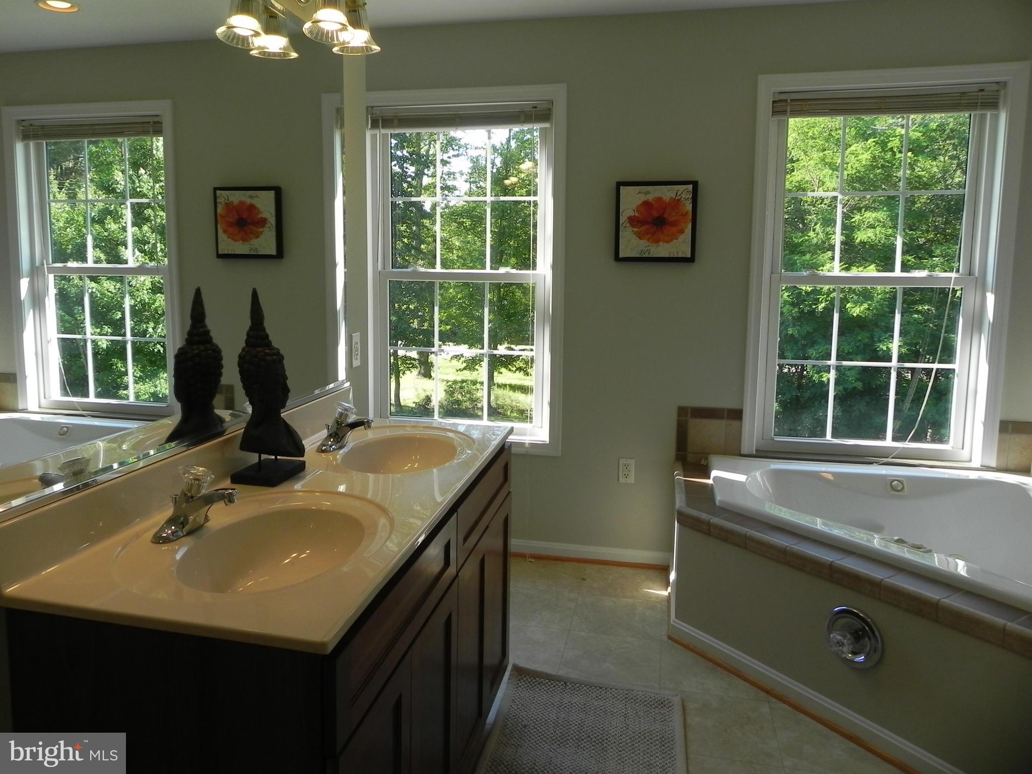 46255 Rue Purchase Road Lexington Park, MD 20653 - Photo 16 of 29 Bath (Master)