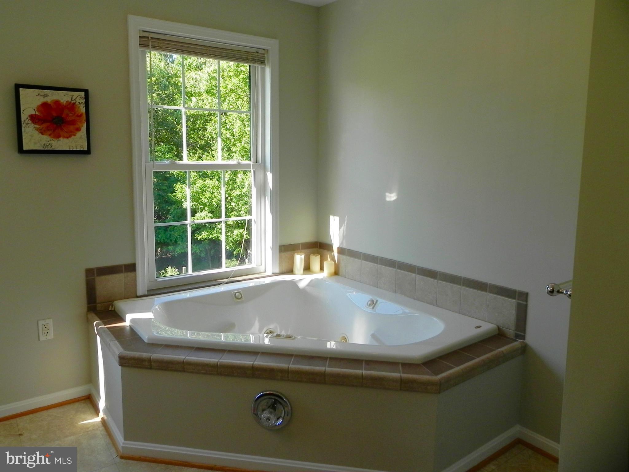 46255 Rue Purchase Road Lexington Park, MD 20653 - Photo 17 of 29 Bath (Master)