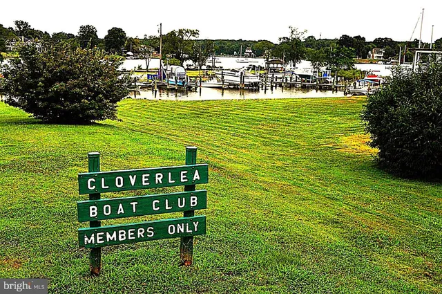 a view of a park with large trees