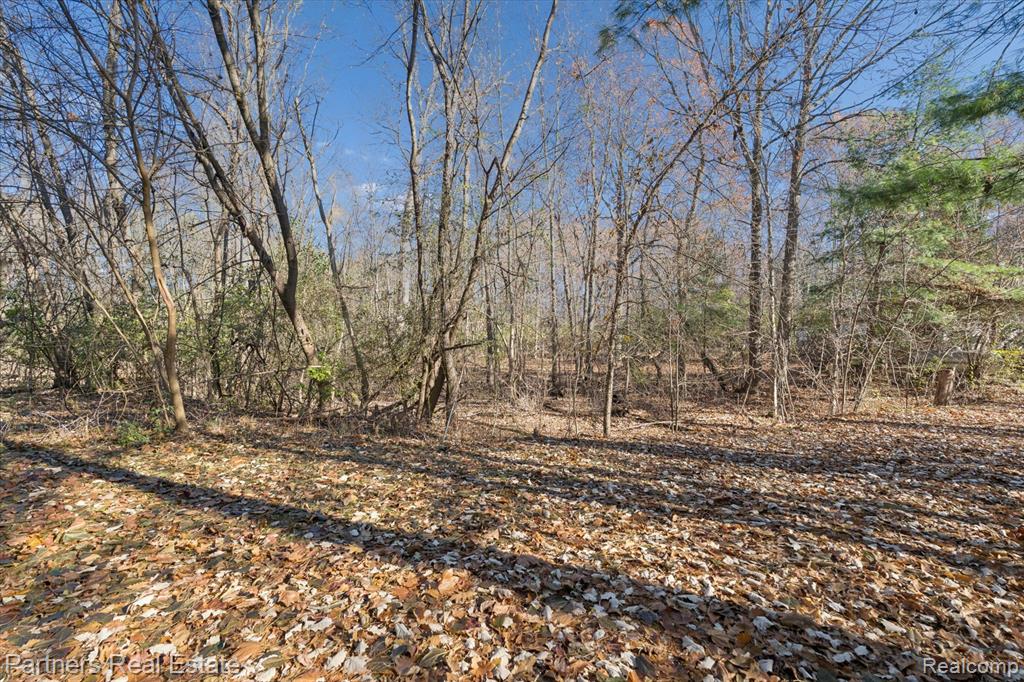 10836 Tuthill Road South Lyon, MI 48178 - Photo 54 of 79