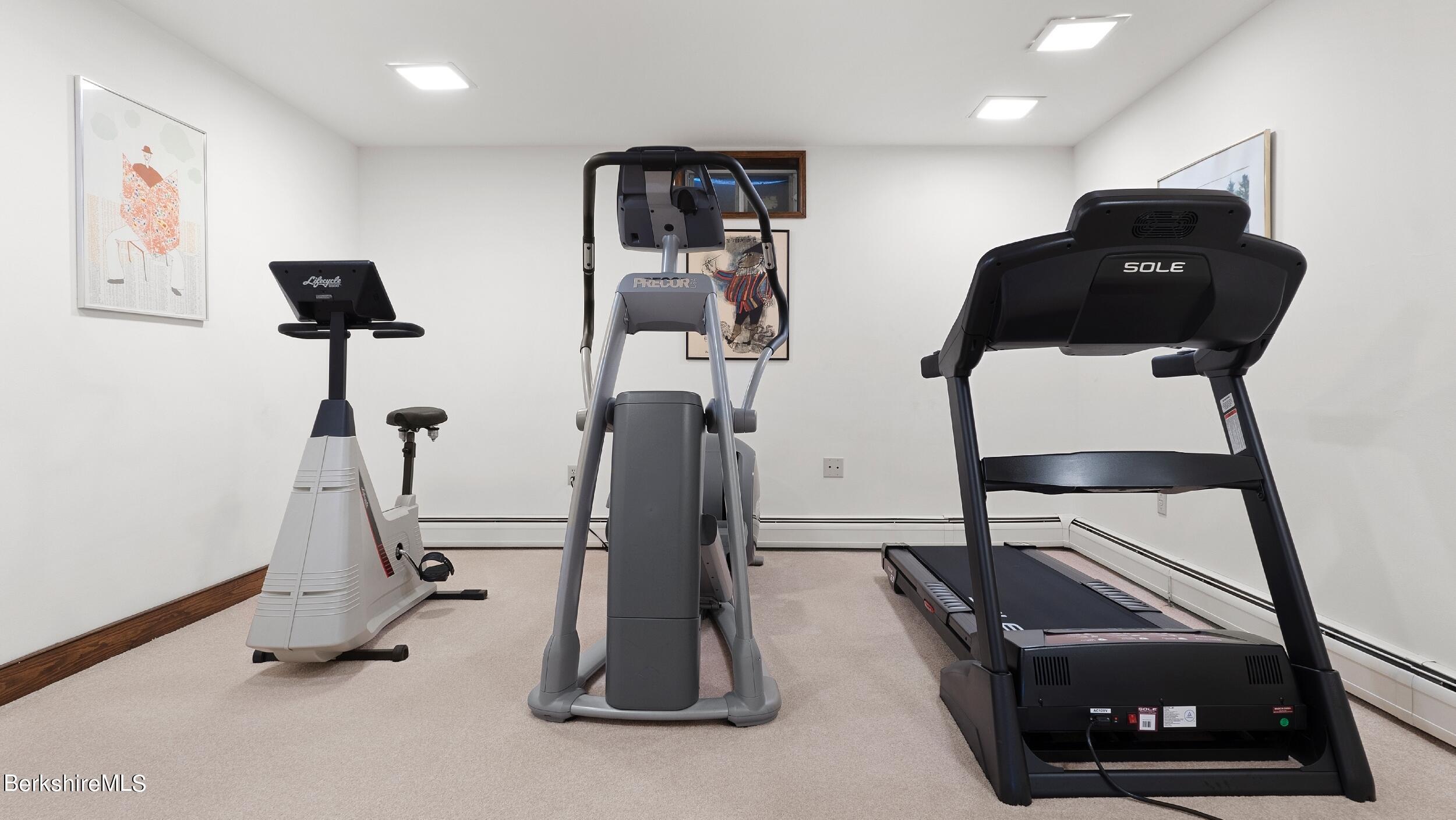 300 Alcott Road Great Barrington, MA 01230 - Photo 45 of 65 LRDSC00106