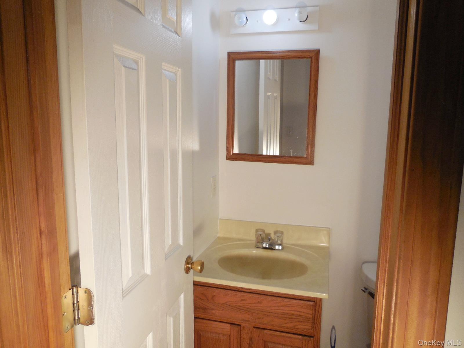 617 Burlingham Road Bloomingburg, NY 12721 - Photo 8 of 39 Half Bathroom first floor.