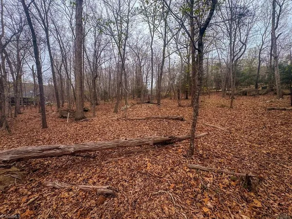 $15,000 | 324 Rocky Cove Lane, Denton, NC 27239
