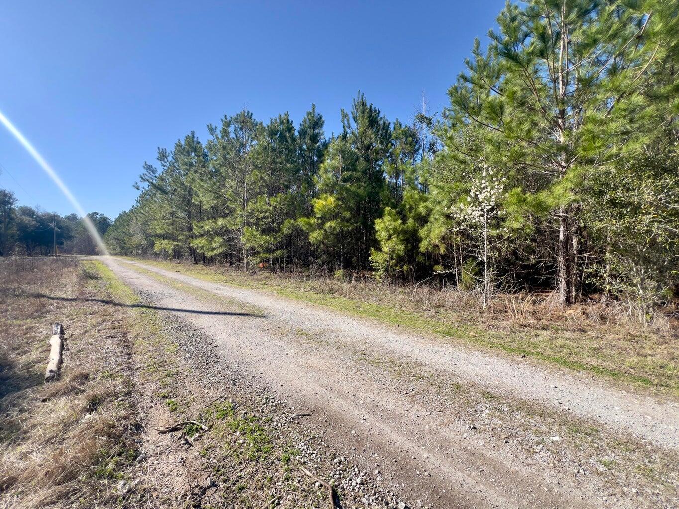 4 Devine Way Cross, SC 29436 - Photo 3 of 5 20250312162947001730000000-o