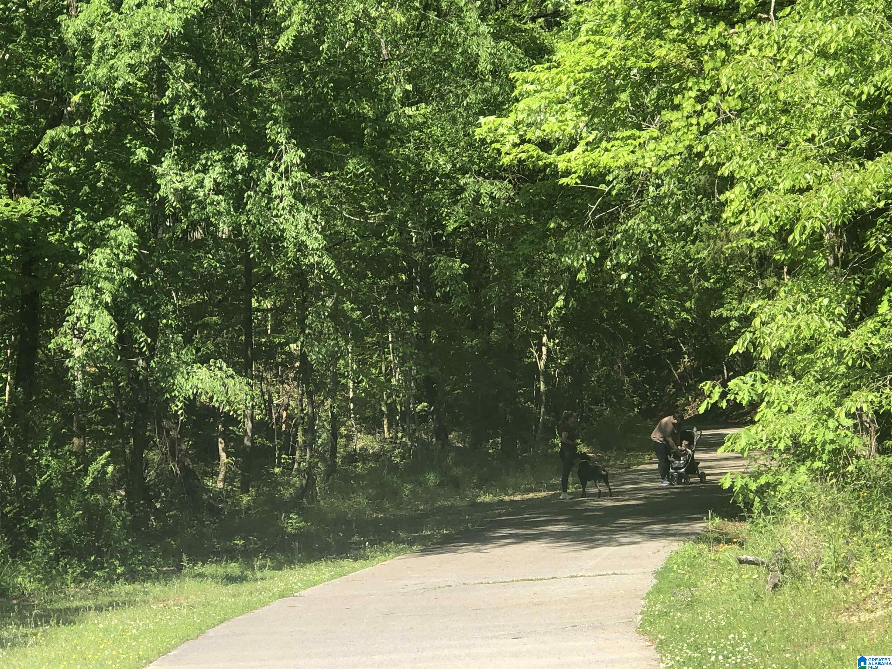 181 Barimore Boulevard Helena, AL 35080 - Photo 41 of 54