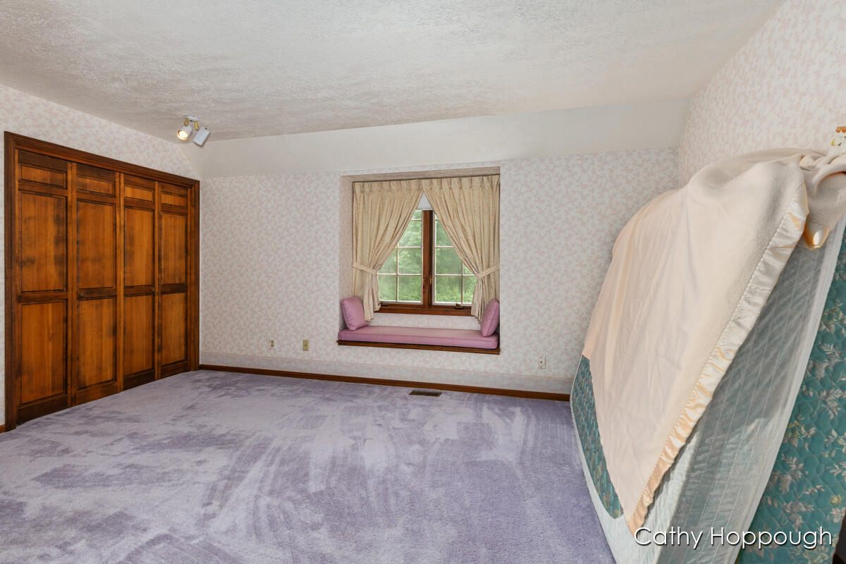 735 Prairie Creek Road Ionia, MI 48846 - Photo 43 of 81
