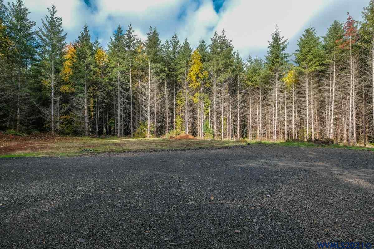 Meridian (ta 392239) Road Lebanon, OR 97355 - Photo 16 of 32