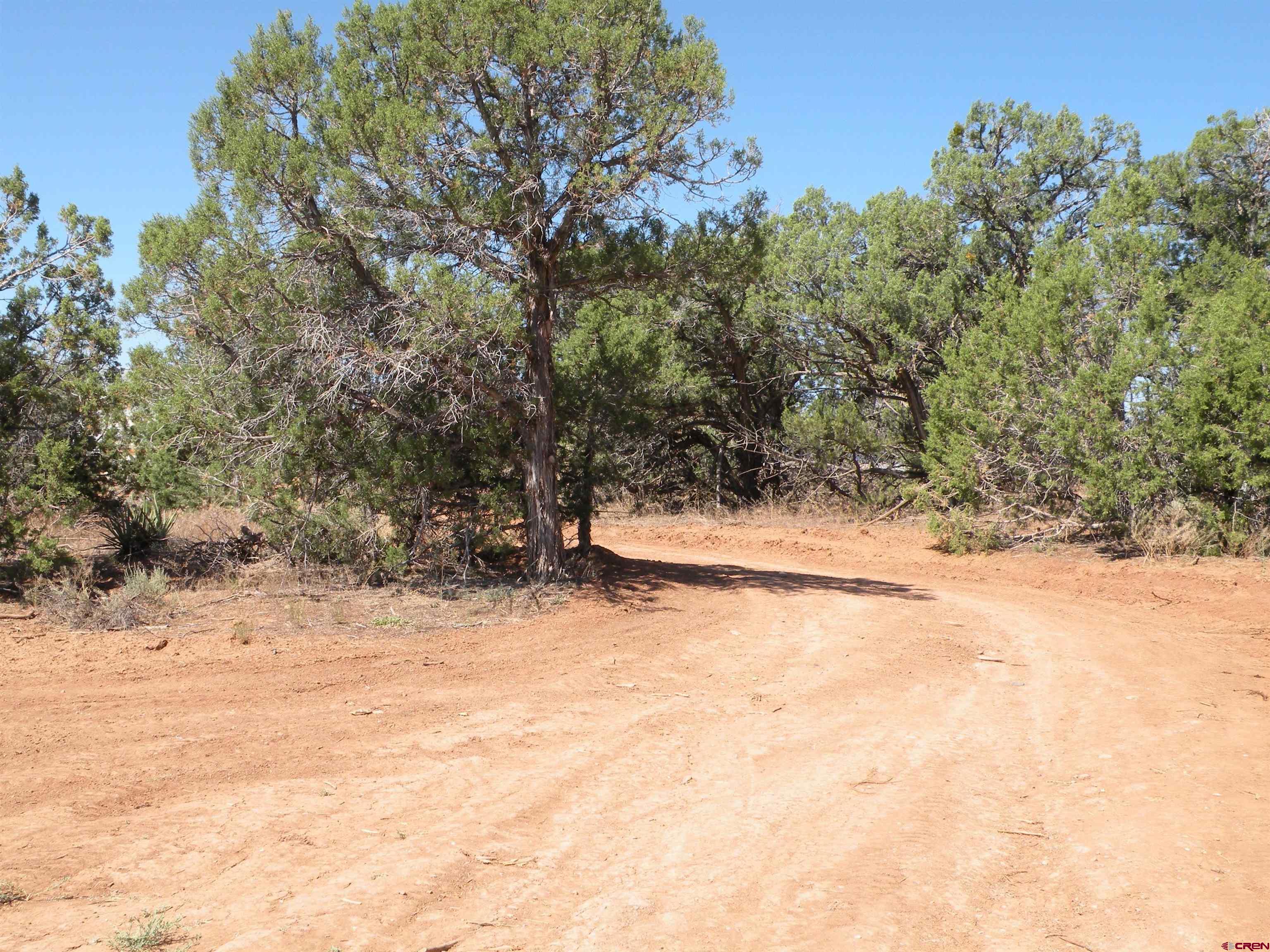 Tbd Mailbox Redvale, CO 81431 - Photo 5 of 5 a view of yard covered with snow