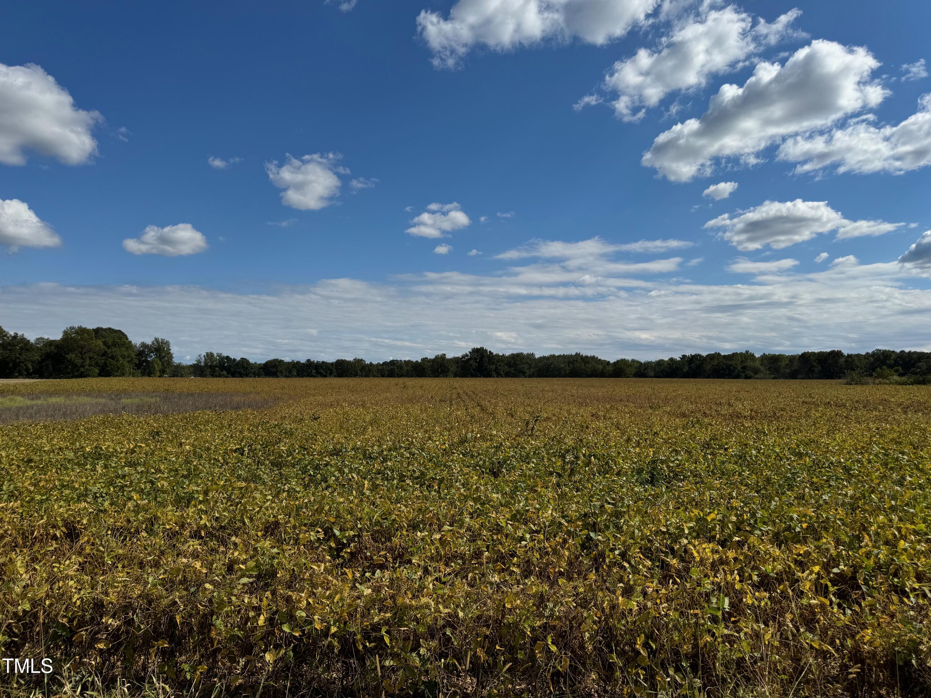 0 Green Path Road Dunn, NC 28334 - Photo 5 of 5 a view of lake and mountain