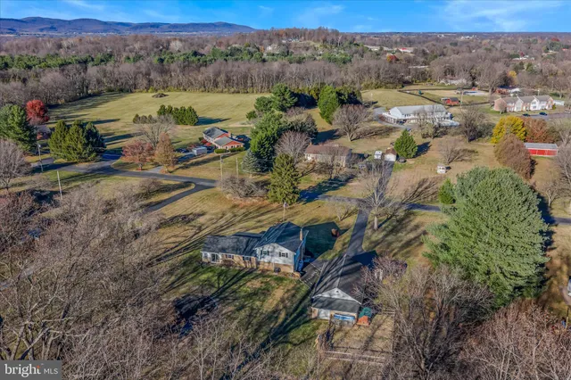 a view of a town with large trees