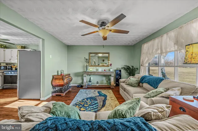 a living room with furniture ceiling fan and a rug