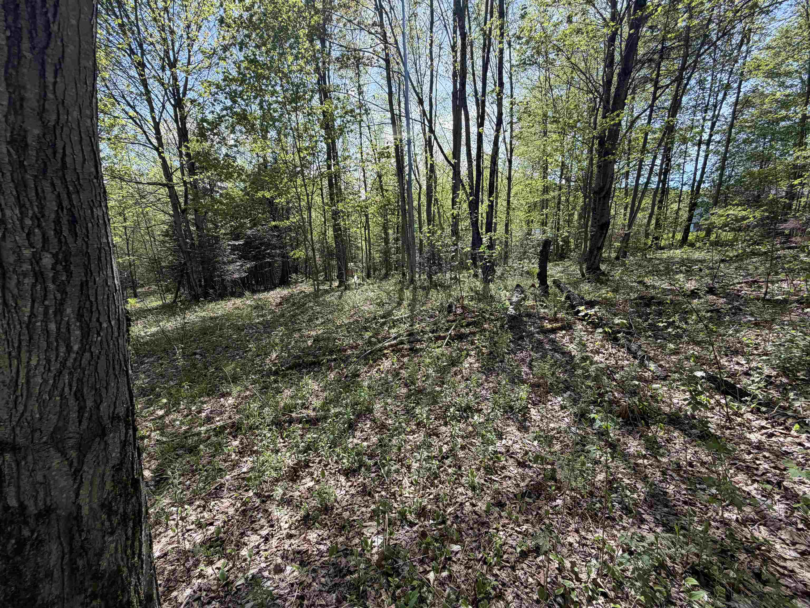 550 Petit Road Newport, VT 05855 - Photo 7 of 20