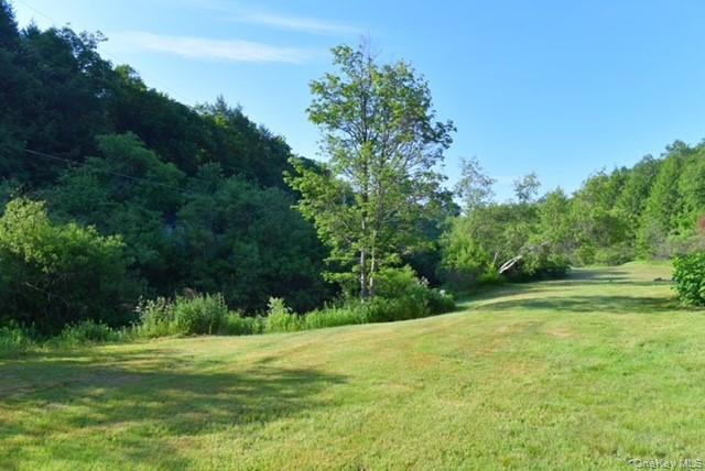 609 Grooville Road Livingston Manor, NY 12758 - Photo 36 of 38