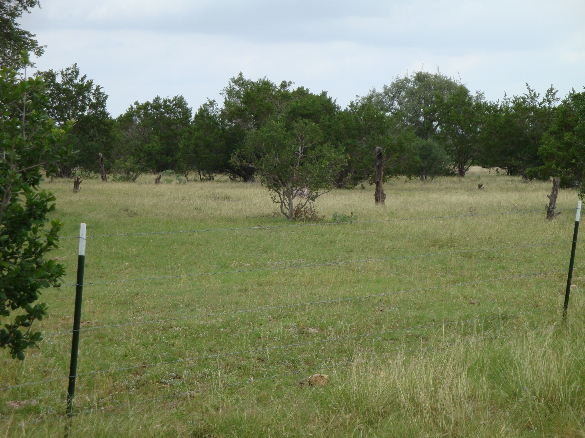 1619 Althaus Ranch Road Johnson City, TX 78636 - Photo 12 of 40