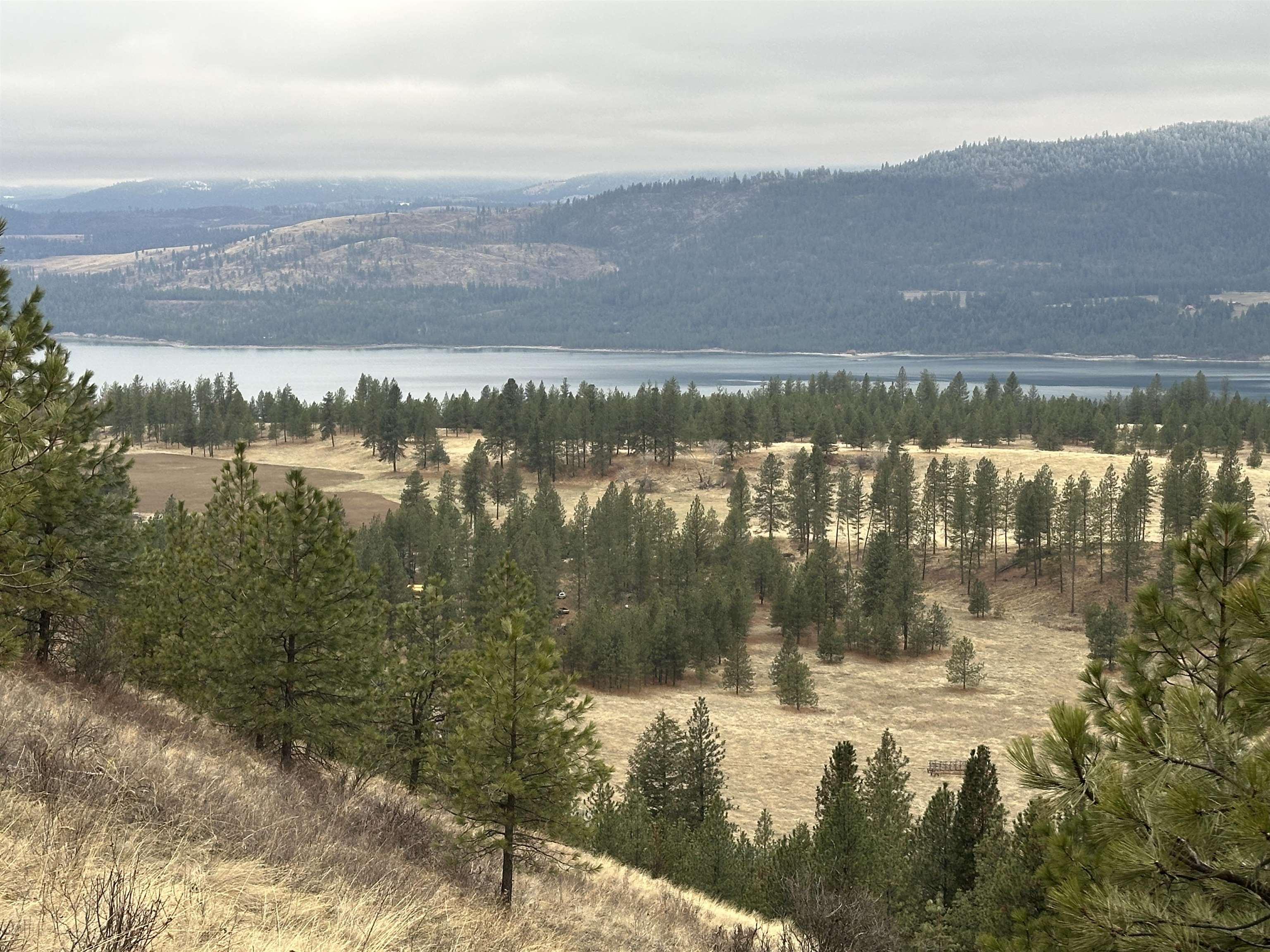 3250 Daisy Mine Road Rice, WA 99167 - Photo 7 of 14 Gallery Image 7