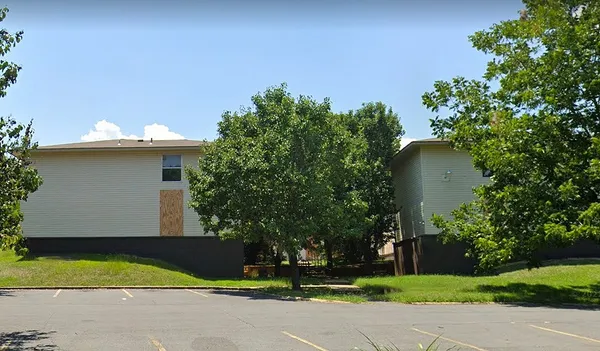 a view of a yard with plants and large trees