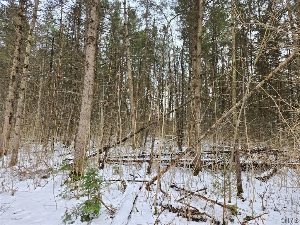 Syler Road Varysburg, NY 14167 - Photo 12 of 20