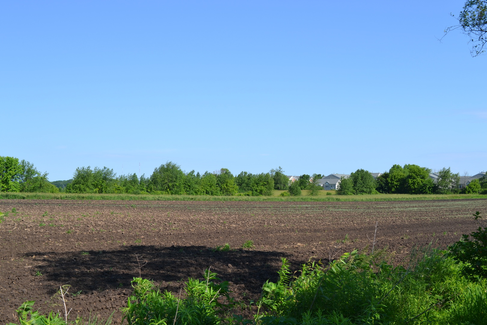 37W142 Hopps Road Elgin, IL 60124 - Photo 3 of 7 a view of park with green space
