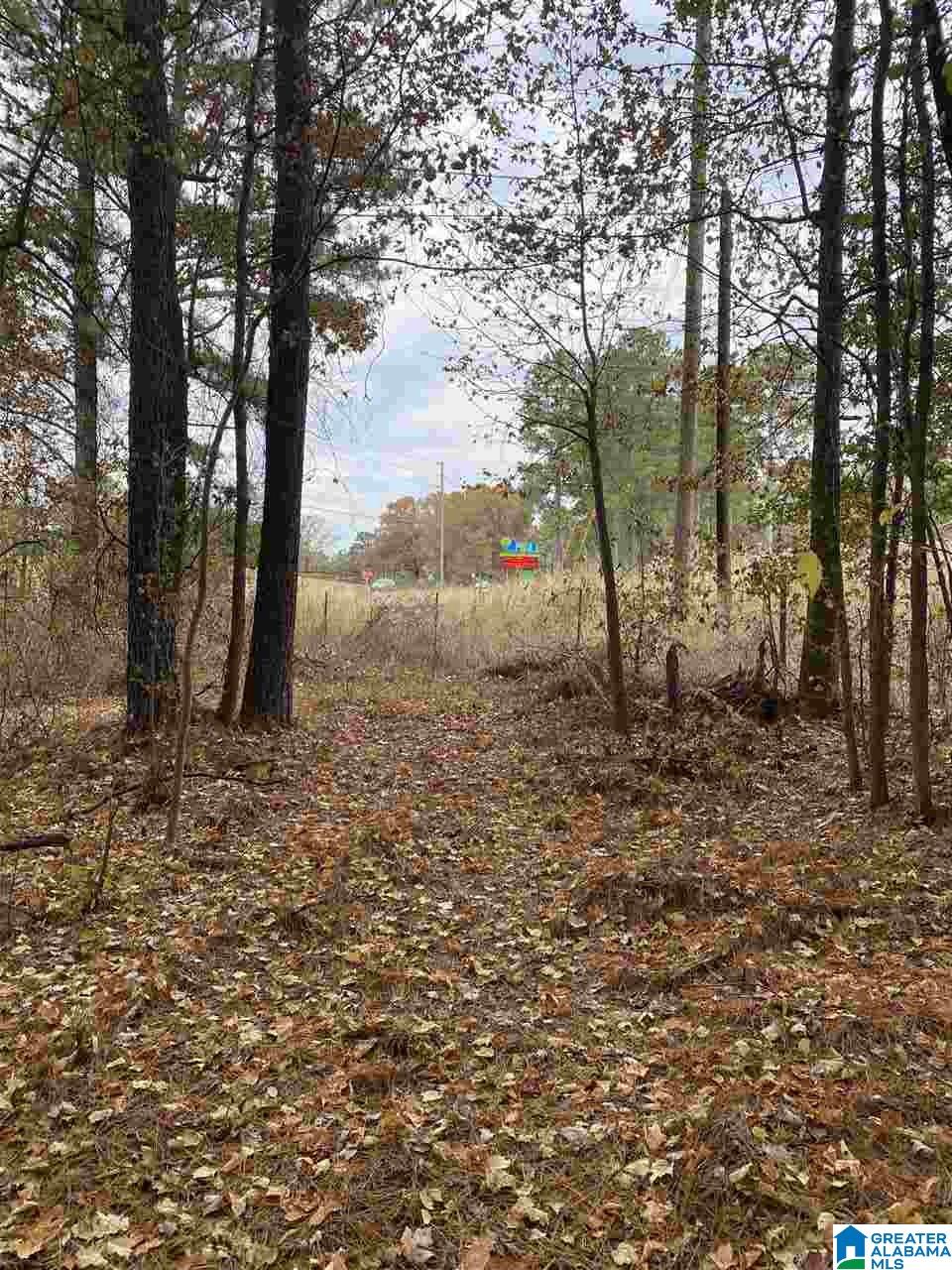 1 Highway 216, Unit 1 McCalla, AL 35111 - Photo 4 of 8