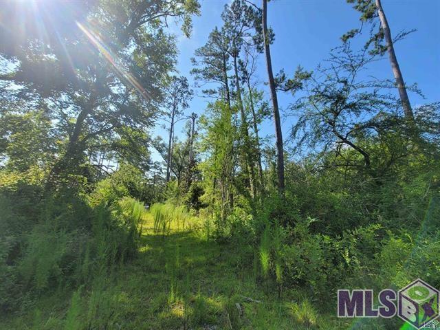 36727 Albin Road Independence, LA 70443 - Photo 6 of 7