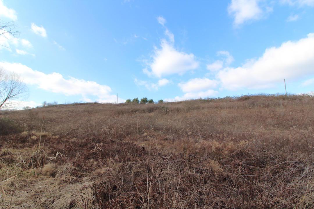 0 Pine Grove Road Racine, OH 45771 - Photo 11 of 18