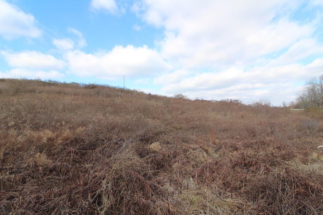 0 Pine Grove Road Racine, OH 45771 - Photo 12 of 18