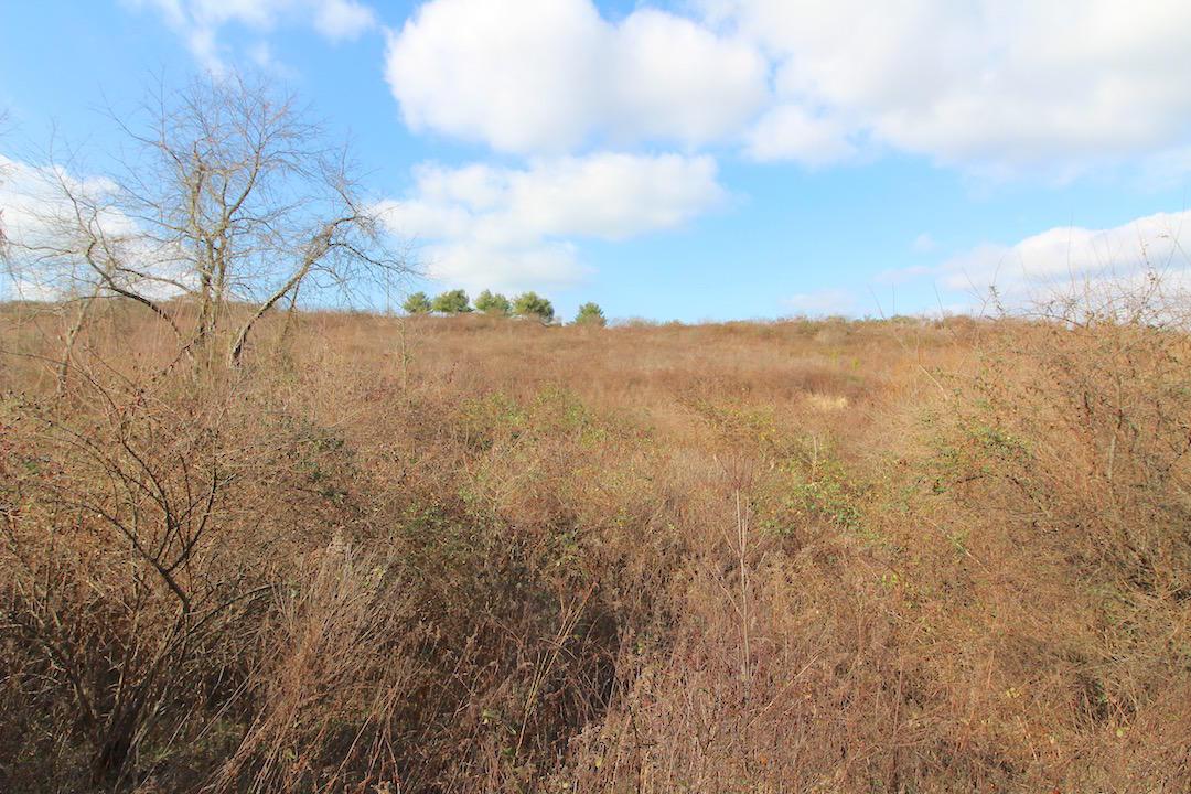 0 Pine Grove Road Racine, OH 45771 - Photo 13 of 18