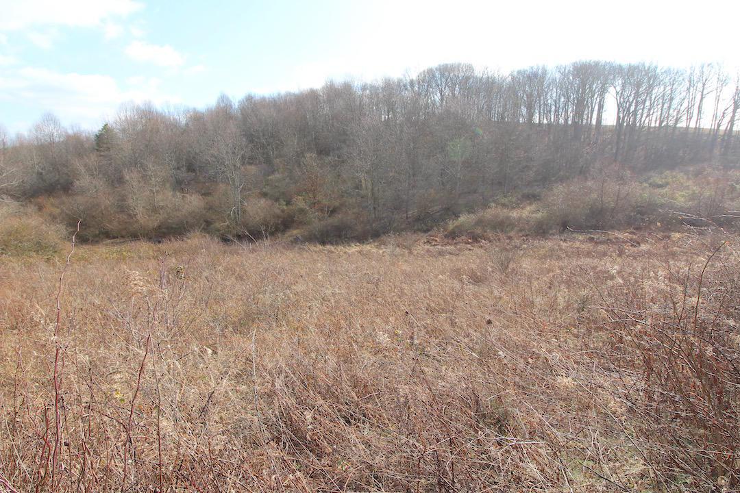 0 Pine Grove Road Racine, OH 45771 - Photo 14 of 18