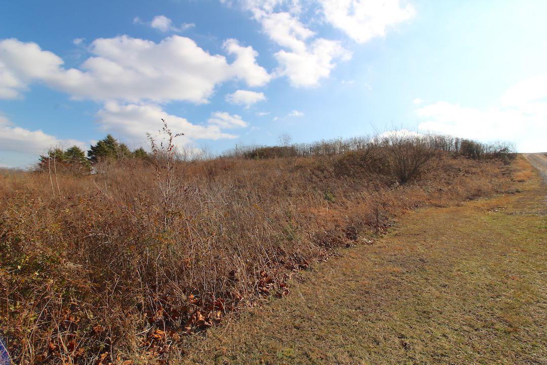 0 Pine Grove Road Racine, OH 45771 - Photo 17 of 18