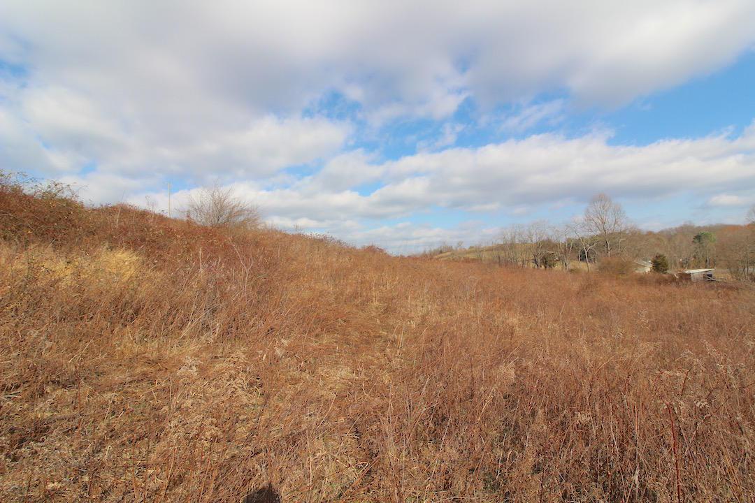 0 Pine Grove Road Racine, OH 45771 - Photo 8 of 18