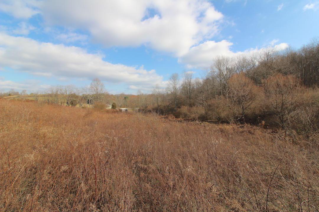 0 Pine Grove Road Racine, OH 45771 - Photo 9 of 18
