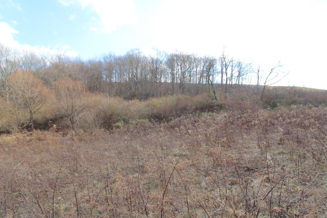 0 Pine Grove Road Racine, OH 45771 - Photo 10 of 18