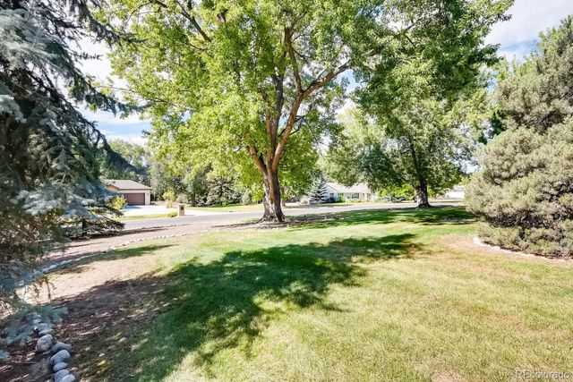 a view of yard with trees