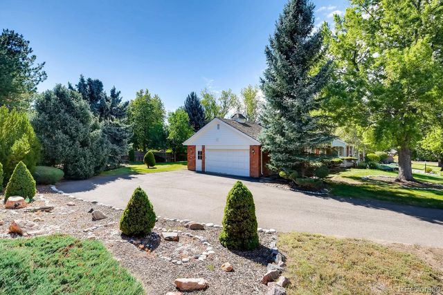 a view of a yard with plants