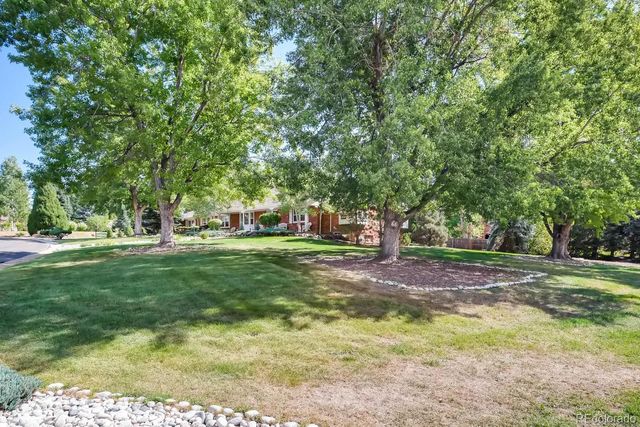 a view of yard with trees