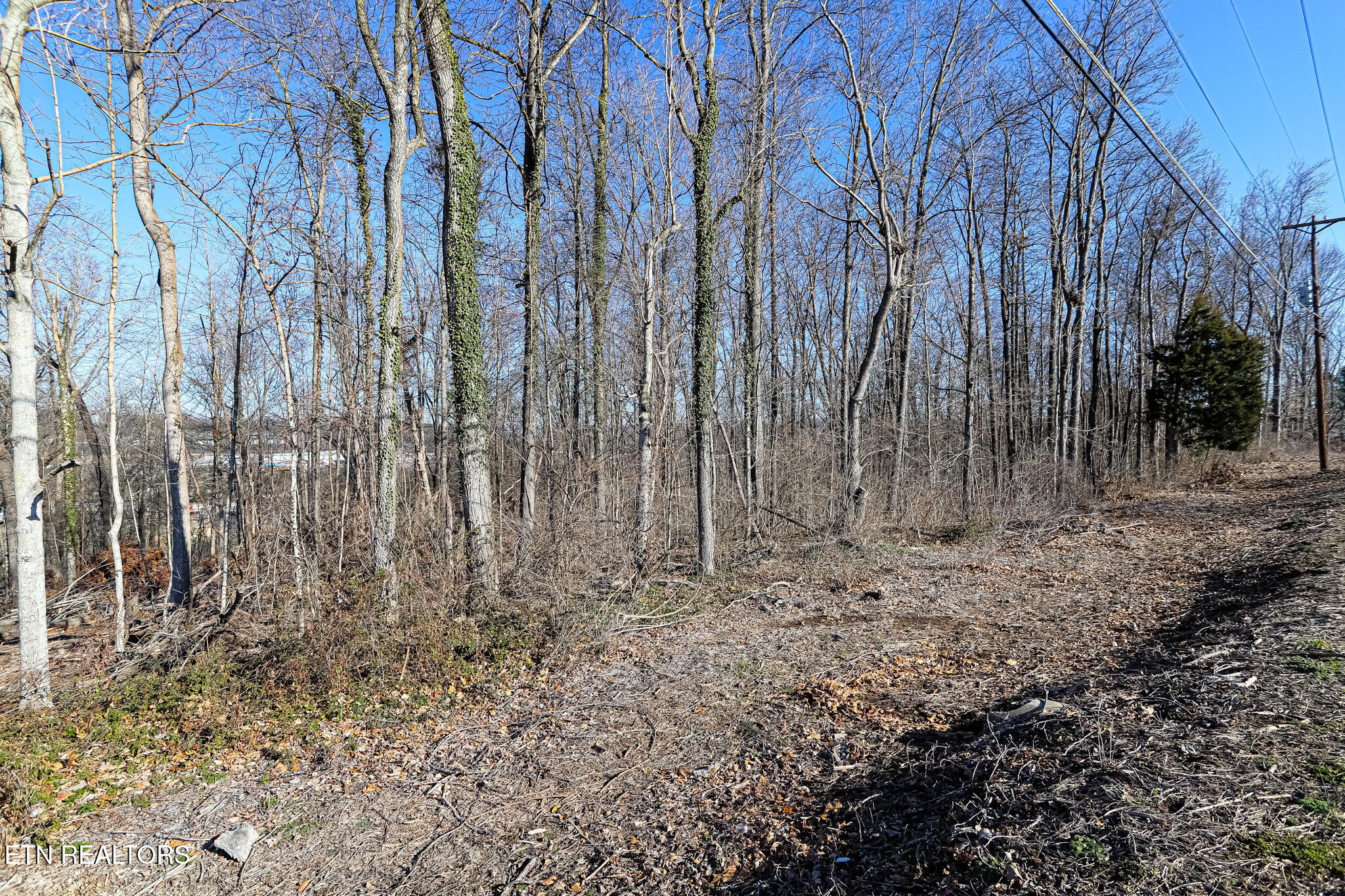 4773 Buffat Mill Road Knoxville, TN 37917 - Photo 6 of 13 Buffat Mill - vacant parcel-13