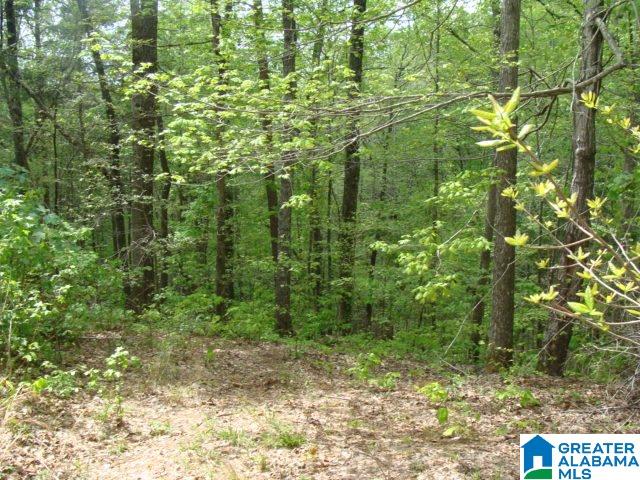 13556 Lock 17 Road Adger, AL 35006 - Photo 31 of 39
