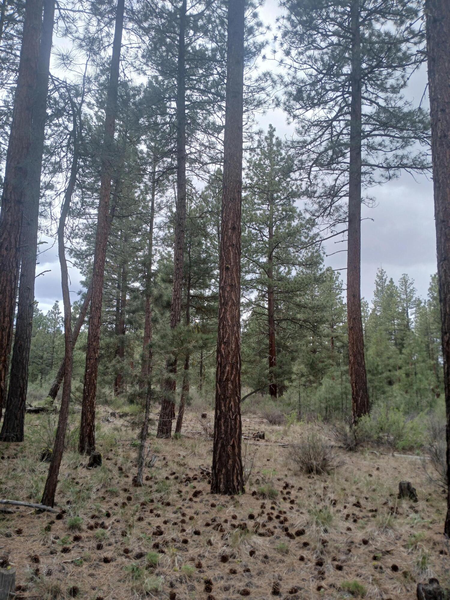 0 Tableland Road Chiloquin, OR 97624 - Photo 6 of 18 20260427_142111