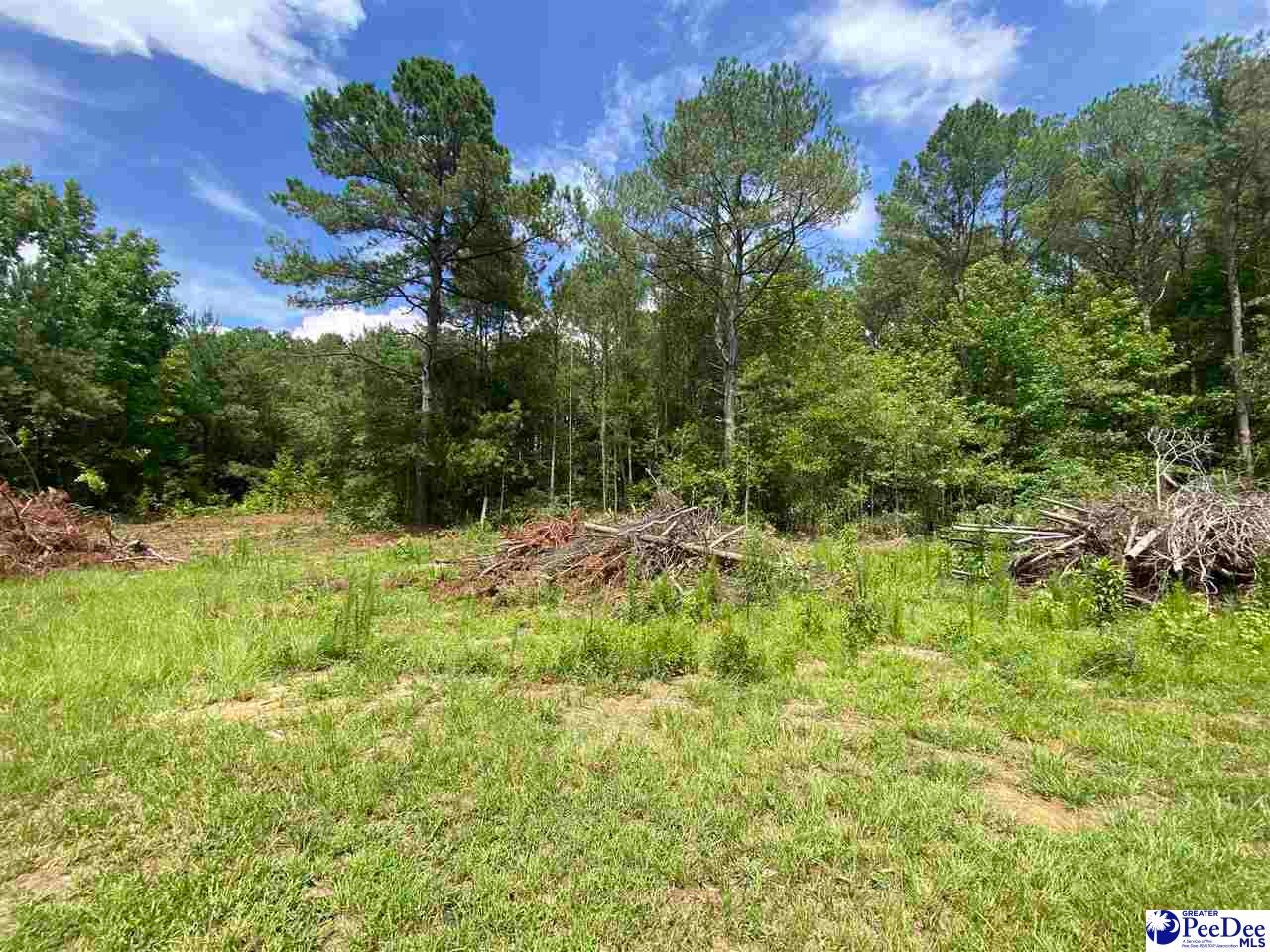 1040 Woodrow Road Bishopville, SC 29010 - Photo 4 of 17 Gallery Image 4