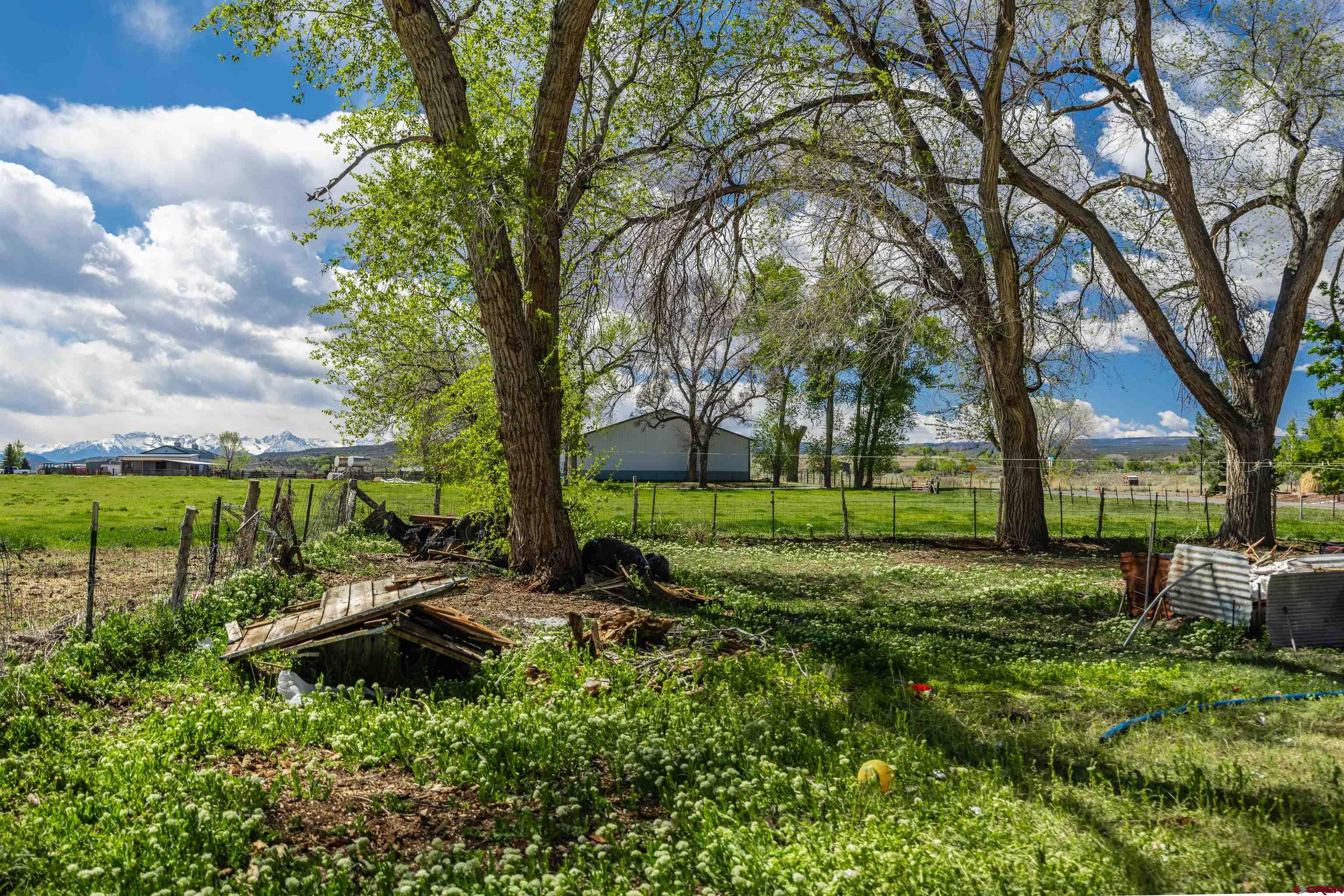 17174 6450th Road Montrose, CO 81403 - Photo 6 of 17